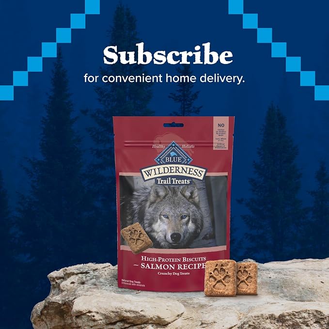 Blue Buffalo Wilderness Salmon Crunchy Dog Biscuits, Grain-Free, 10 oz | Real Salmon #1 Ingredient, Crunchy Biscuits, High Protein Nutrition, No Artificial Preservatives