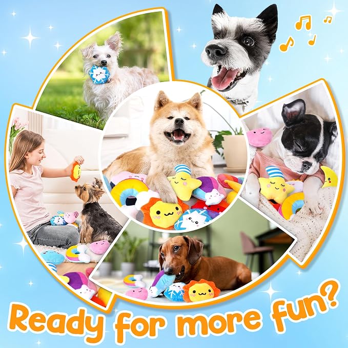 Weather-Themed 20-Pack Squeaky Dog Toys Set