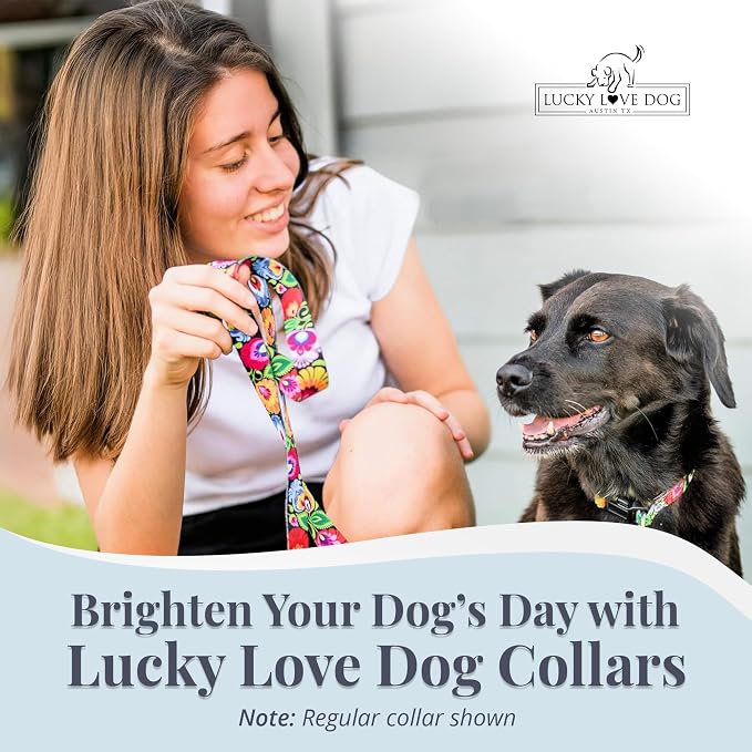 Lucky Love Dog Martingale Collar & Leash Set No Slip – Blackbird, Small