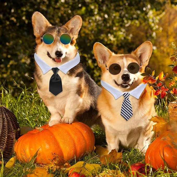 Weewooday 8 Piece Pet Costume Set for Small Dogs & Cats Tie Collars and Sunglasses for Halloween, Cosplay, Party, and Photo Shoot
