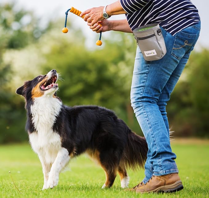 Dog Treat Pouch for Training with Poop Bag Dispenser