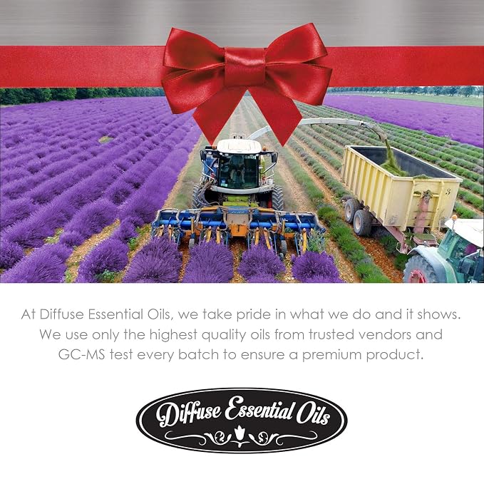Diffuse Essential Oils 10ml - Spikenard Essential Oil - 0.33 Fluid Ounces - Spikenard Oil - Aromatherapy Oils