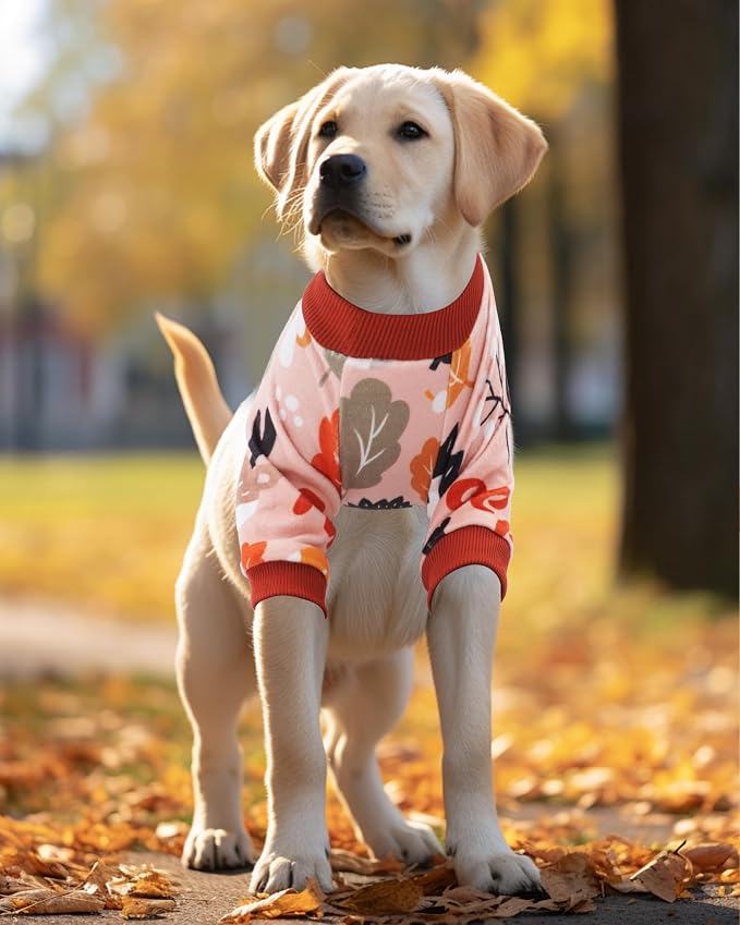 PET SHOW 4 Pack Fall Velvet Dog Pajamas for Medium Dogs