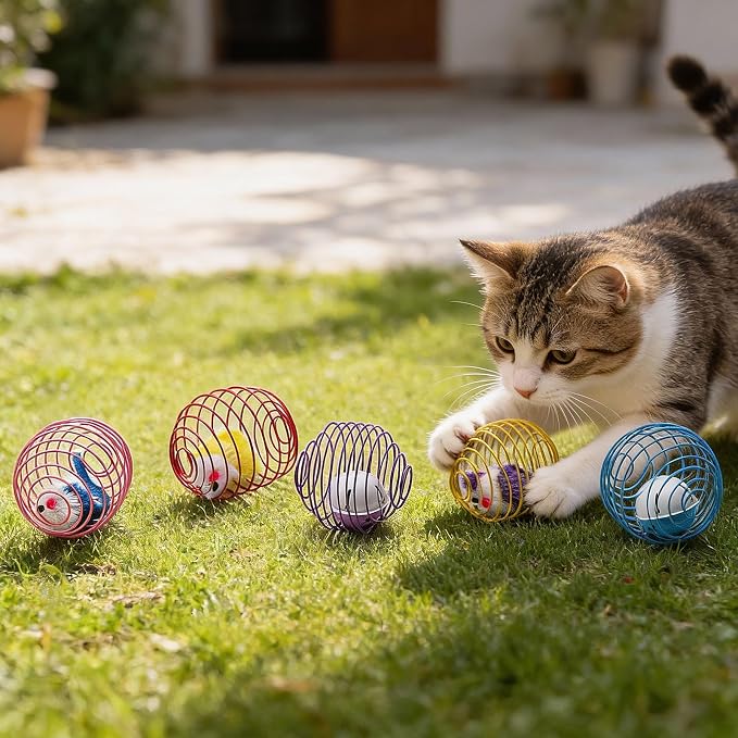 Jecery 5 Pcs Cat Toys Spring,Mouse and Bell,Mix Colors