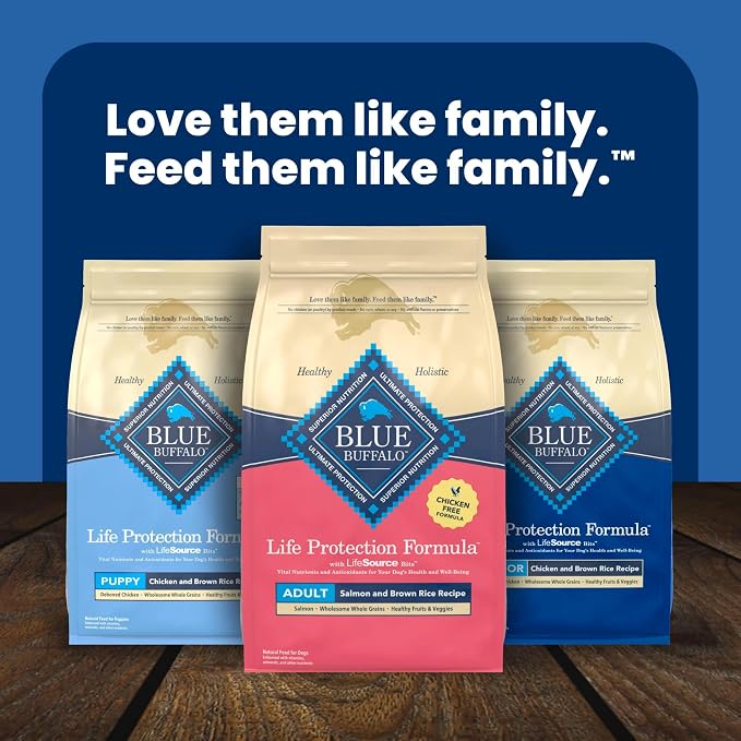 Blue Buffalo Life Protection Formula Salmon Adult Dry Dog Food, 15 lb | Real Salmon #1 Ingredient, Chicken-Free Recipe, Antioxidant-Rich LifeSource Bits, Promotes Healthy Muscle Development