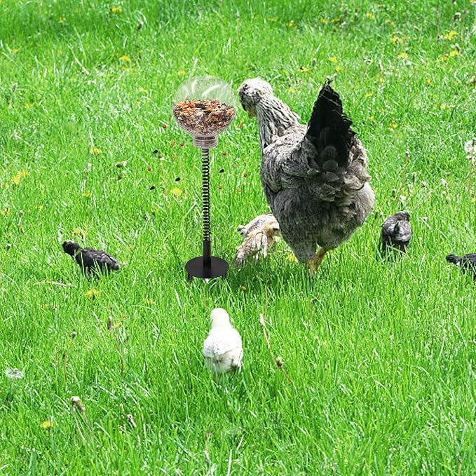 Chicken Treat Dispenser, Chicken Enrichment Toys with Spring and Ground Stake, Feeder for Coop, Coop Accessories for Hens, Geese, Ducks, Turkeys, Other Poultry