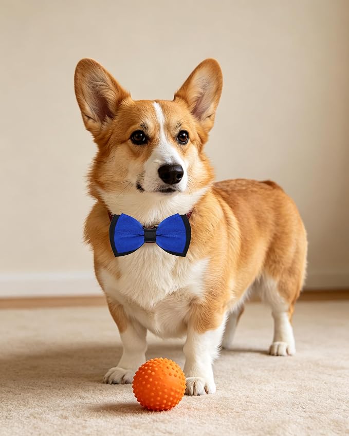 PET SHOW 5 Pack Mixed Color Dog Bowties for Small Dogs Slide on Collar