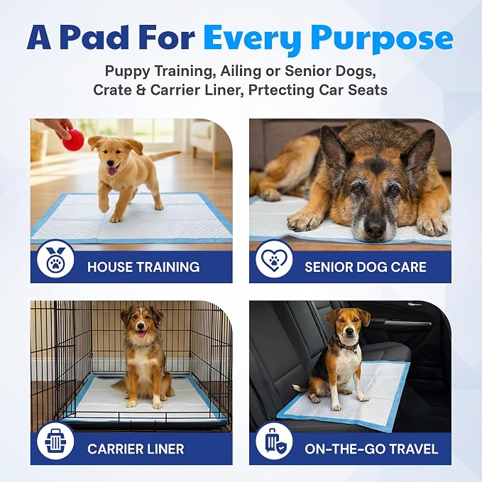 AKC Puppy Training Pads, 22" x 22", Fresh Scent,100 Count