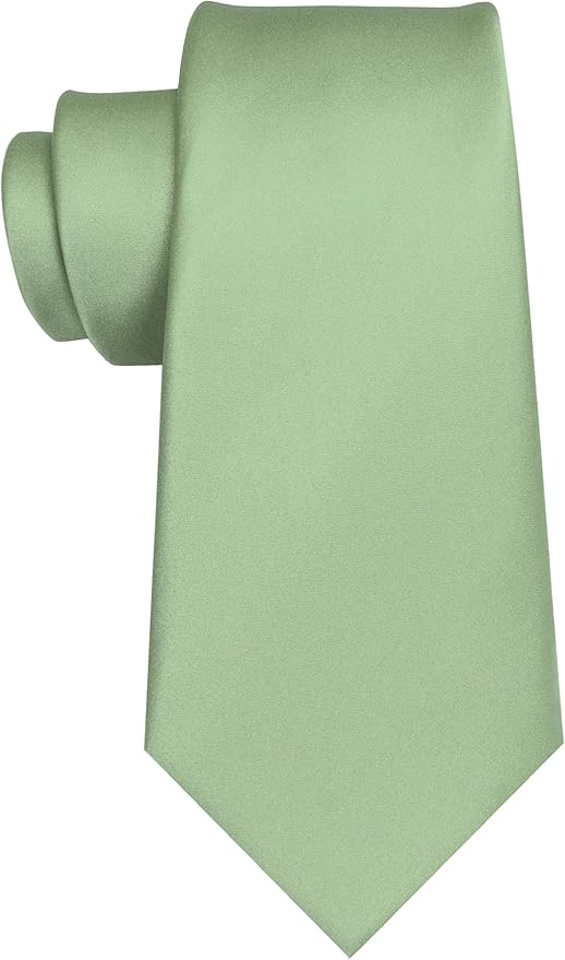 JEMYGINS Solid Color Tie Mens Necktie for Business and Wedding