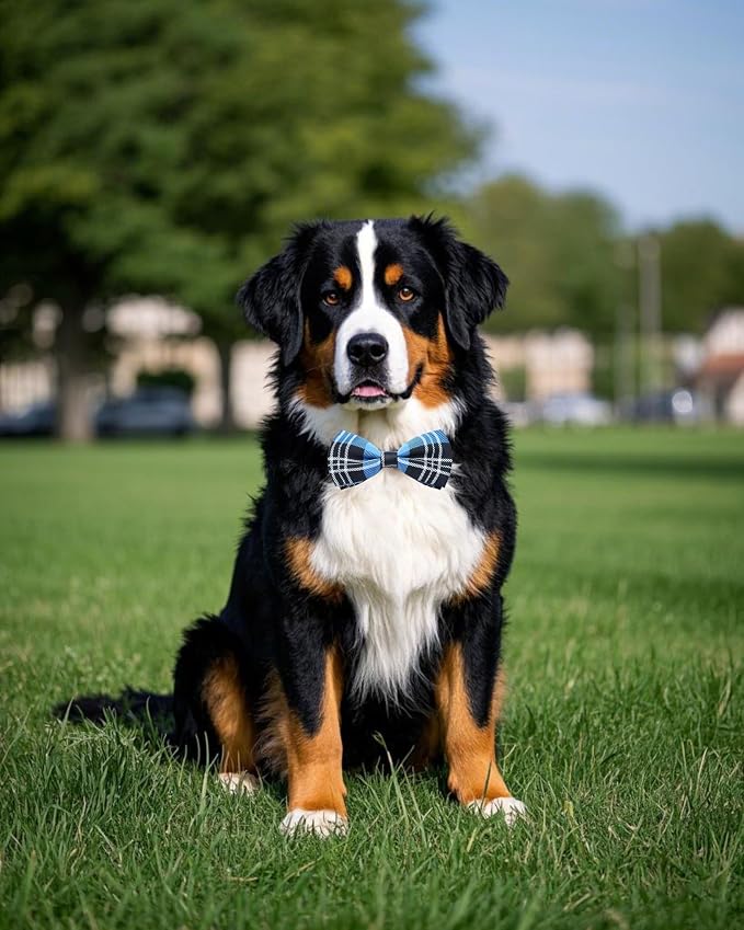 PET SHOW 8 Pack Plaid Dog Bowties for Large Dogs Slide on Collar
