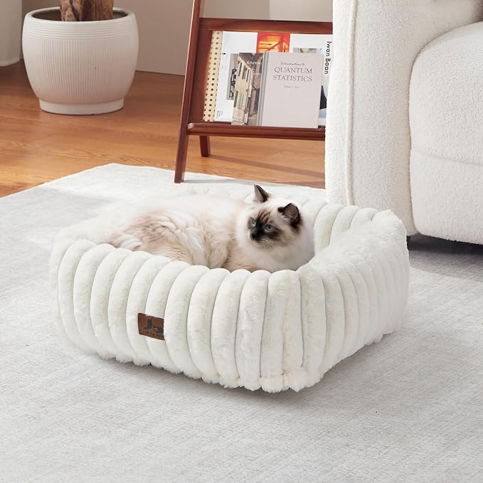 Cute Dog Bed for Small Dogs & Cats,Washable Fluffy Cat Beds for Indoor Cats, Rectangle Orthopedic Memory Foam Puppy Beds with Anti-Slip Bottom, 20 x19 x 6 Inches, Cream (20x19x6 inches)