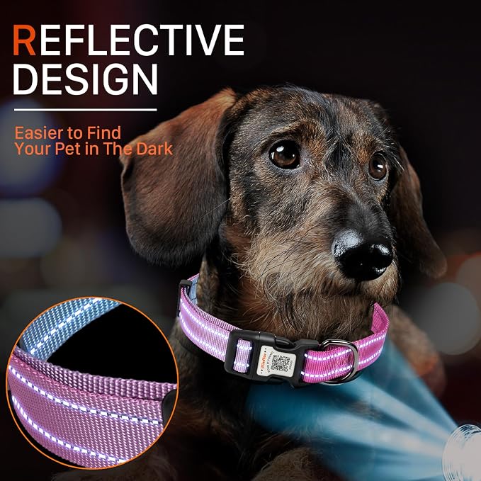 Personalized Dog Collar with QR Code Dog Tag, Blue&Rose Red XS | Anti-lost, 1000D nylon, reflective, padded, XS-L(8"-24"), QR buckle shares lost pet profile, location alerts when scanned