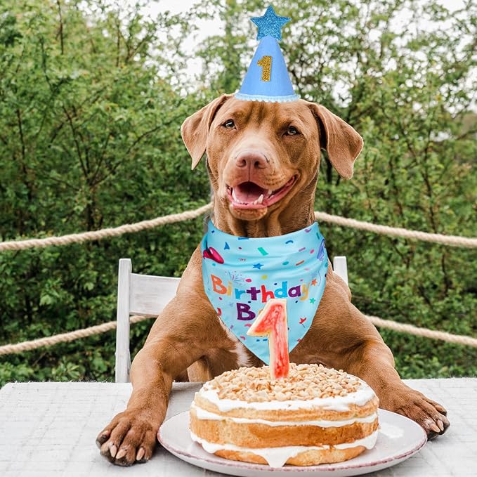 Dog Boy Birthday Party Hat,Dog Birthday Party Supplies,Dog Bandana | Dog Birthday Bandana Set with Numbers for Gaint and Extra Large Dogs (Blue),Dog Birthday Decorations,Dog Birthday Hat