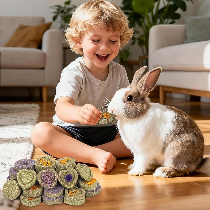 30PCS Guinea Pig Hay Grass Cake Food Set Natural Rabbit Chew Toys for Teeth