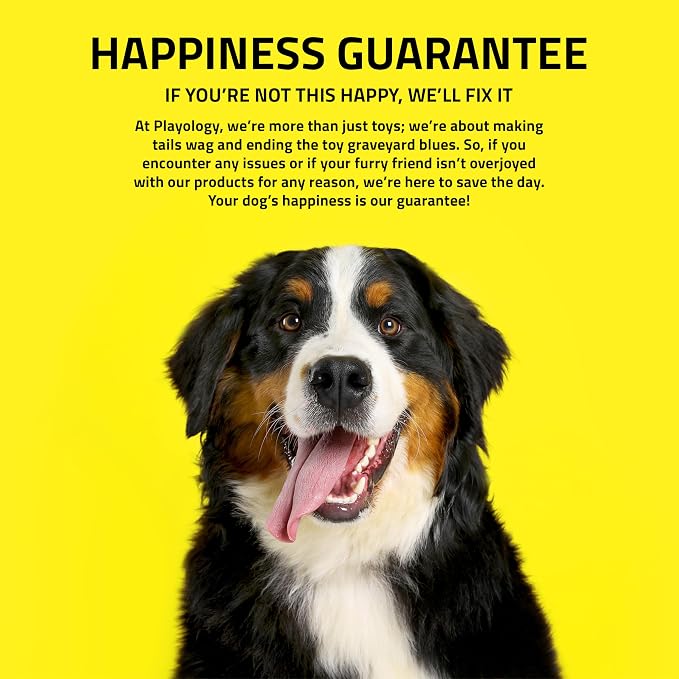 Playology Squeaky Chew Ball Dog Toy - Jumbo, Blueberry Scent