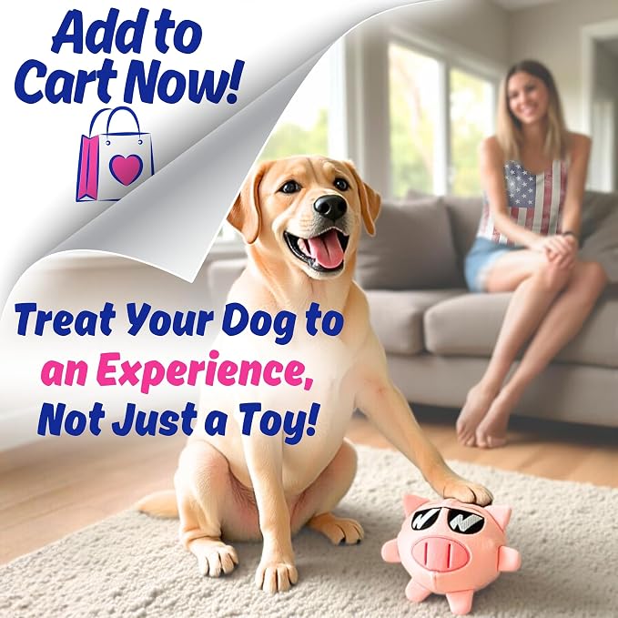 Dog Toy for Aggressive Chewers, Tough Squeaky Chew Ball, Large Breeds Gift