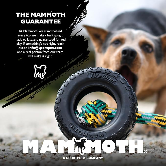 Chew King by Mammoth Premium Treat Dog Toy, Extremely Durable Natural Rubber Toy, Bacon Flavored Dog Treater, Medium - Orange