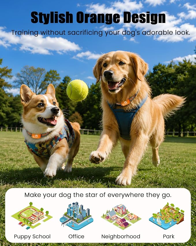 Dog Training Collar with Remote,2600FT Shock Collar for Dogs Orange