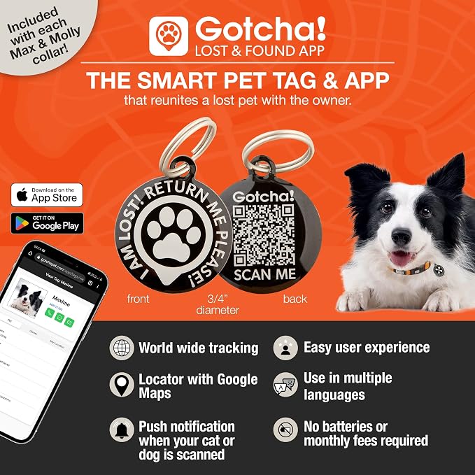 Max & Molly Urban Pets Smart ID Dog Collar with Gotcha! QR Pet Safety Tag and Custom Pet Profile, Soft Padded Neoprene, Waterproof, Machine Washable, Hibiscus, M (13-21")