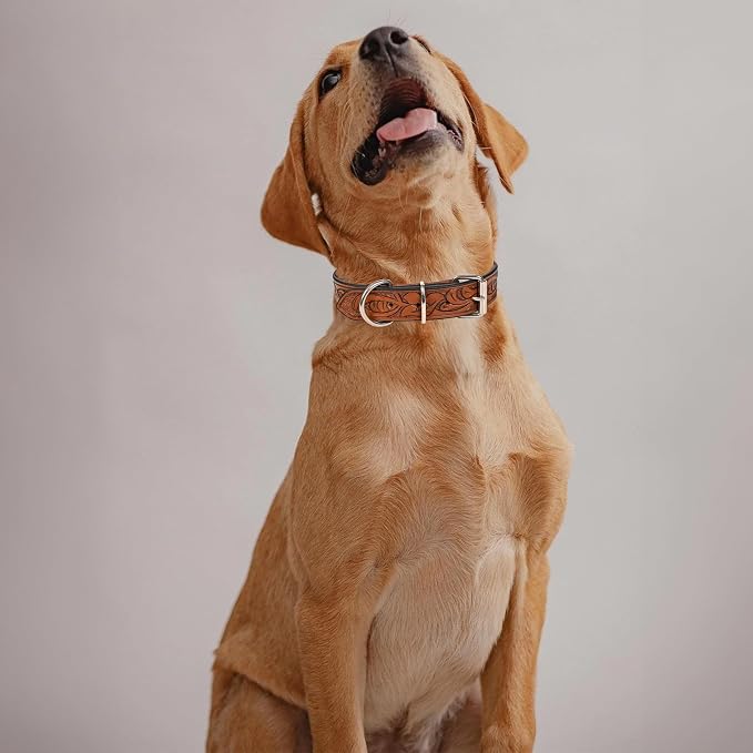 TARICO Adjustable Leather Dog Collar for All Breeds, Heavy Duty Non Padded Pet Collar with Engraved Design Durable Metal Buckle - Tan (Small: Fits 13–17" Necks)