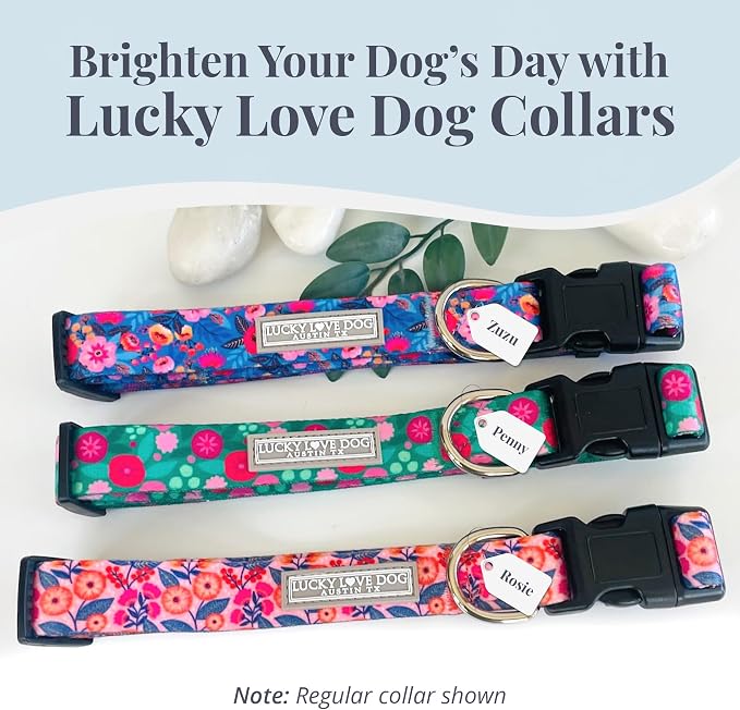 Lucky Love Dog Martingale Collar & Leash Set No Slip Cute – Rosie, Large
