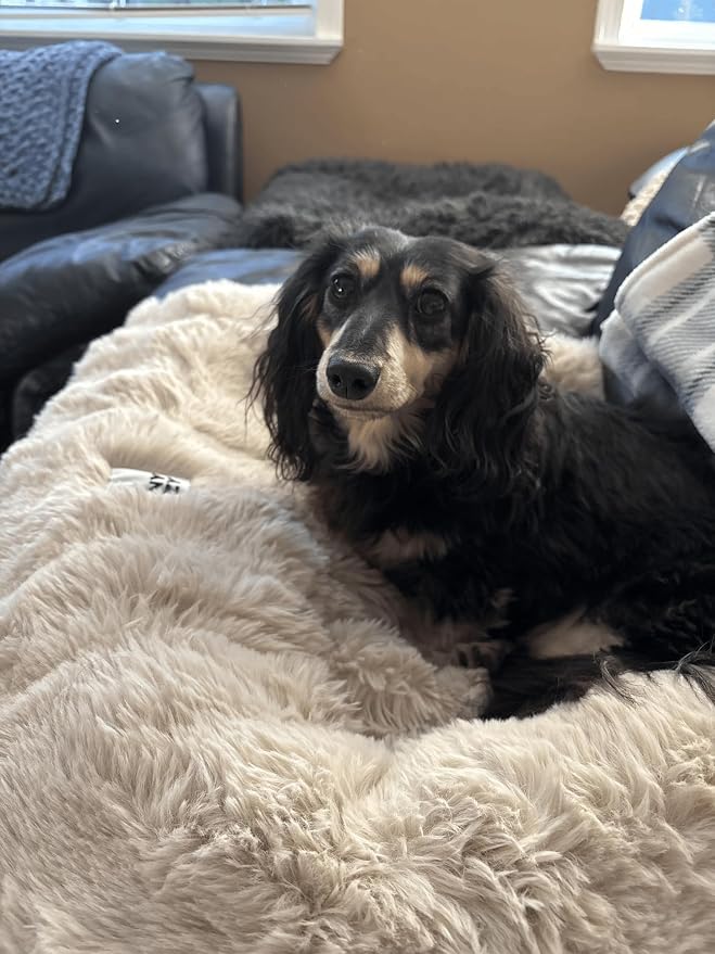 Dog Couch Bed, Calming Small Dog Sofa Bed Cover Washable | Pet Mat for Small Dogs and Indoor Cats, Faux Rabbit Fur, Raised Protective Bolster, Non-slip Bottom, 27"×22"×4.7", Coffee