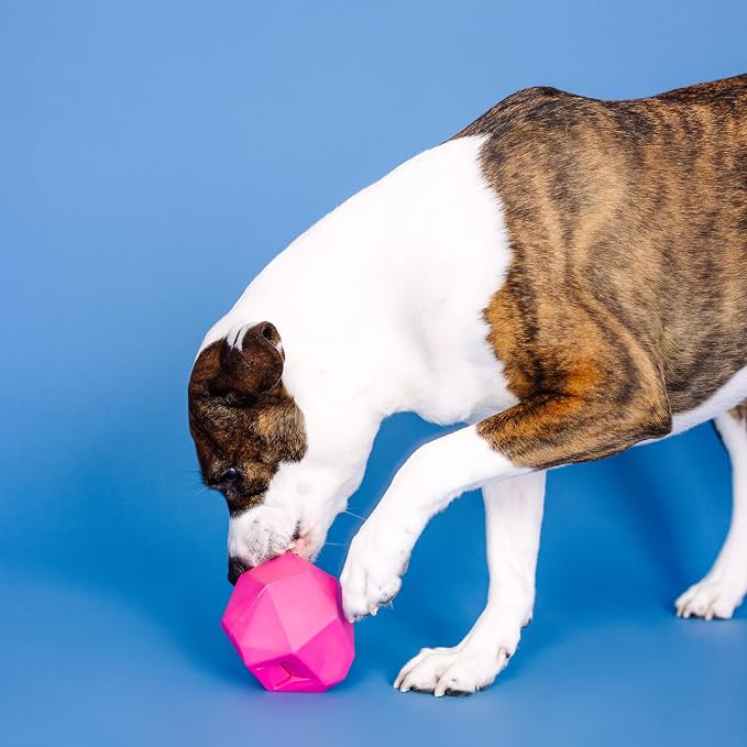 Fringe Studio "Having A Ball HOT Pink Rubber Dog Toy, Pet Shop Collection (518020)