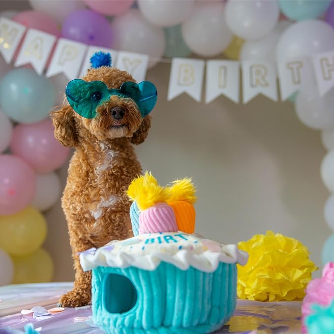Outward Hound Hide-A-Birthday-Cake Plush Squeaky Dog Toy, 7.5" x 4.7" | Hide-n-Seek Puzzle, 3 Removable Candles, Toss & Fetch, Interactive Enrichment, Boredom Buster, Light Chewers, Dogs & Puppies