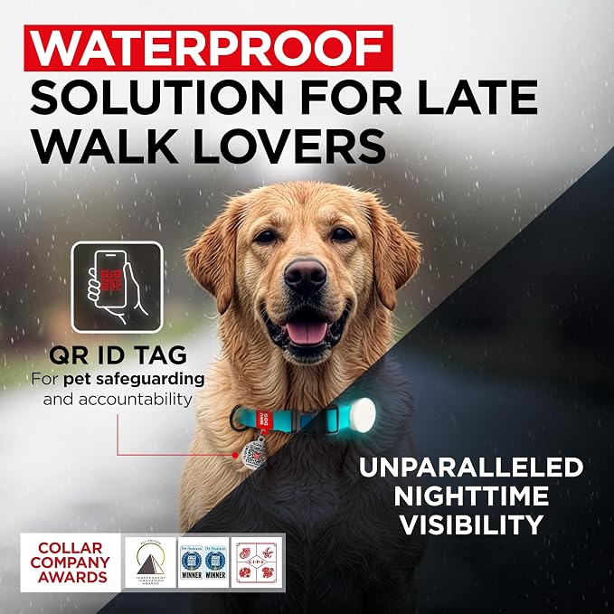 WAUDOG Waterproof Dog Collar Airtag Holder QR Tag Small Medium Large Dogs | Water and Dirt Resistant, Quick Dry QR Pet Tag Adjustable Durable Comfort for Male and Female Dogs Outdoor Walking Training