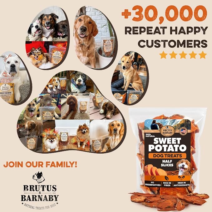 BRUTUS & BARNABY Dried Sweet Potato Dog Treats & Chews, Half Slices, 5 lb | Single ingredient, healthy, hypoallergenic; gentle on sensitive stomachs. Made in USA, bite size for small breeds