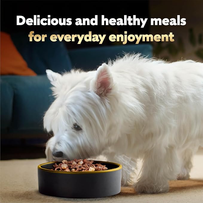Cesar Loaf and Delights Wet Dog Food, Variety Lovers, 36 count, 2 pack