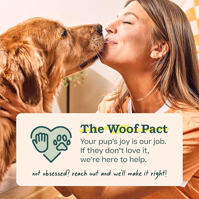 WOOF Pupsicle Chicken Refill Pops Dog Treats, XL, 5 Count, 2 Pack | For extra-large Pupsicles, 10 total treats, chicken flavor, long-lasting treats, pre-made wholesome ingredients, shelf stable