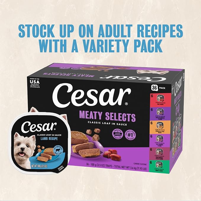 Cesar Classic Loaf in Sauce Wet Dog Food, Lamb Recipe, 3.5 oz, 24 Count | Made in USA, Real lamb #1 ingredient, no fillers, no added sugar, no artificial flavors, slow-cooked, easy peel trays