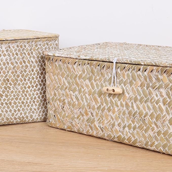 FEIALNDUO Wicker Shelf Baskets with Lid,Seagrass Storage Basket Bins Rectangular Handwoven Basket Boxes for Shelves Desktop Home Organizer (Whitewash, Small)