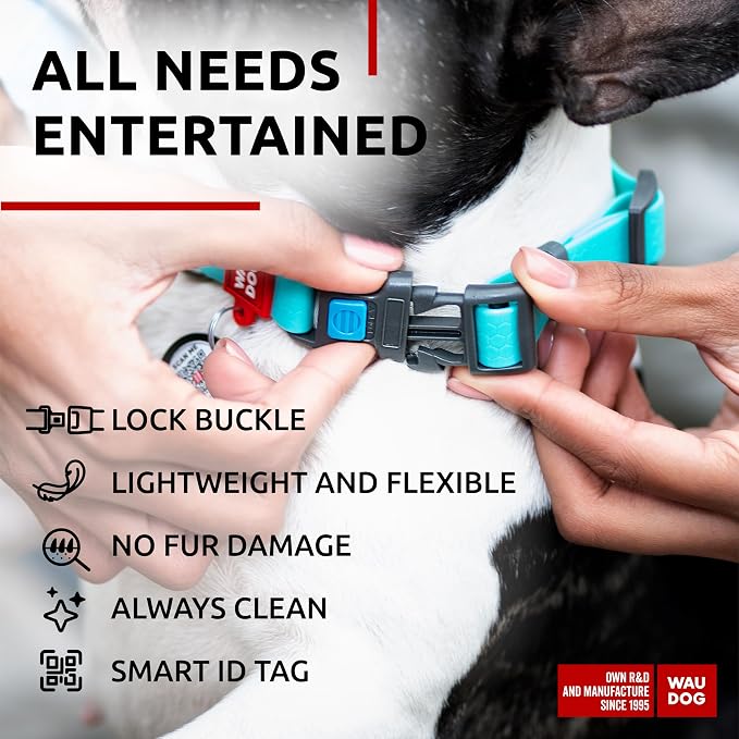 WAUDOG Waterproof Dog Collar Airtag Holder QR Tag Small Medium Large Dogs | Water and Dirt Resistant, Quick Dry QR Pet Tag Adjustable Durable Comfort for Male and Female Dogs Outdoor Walking Training