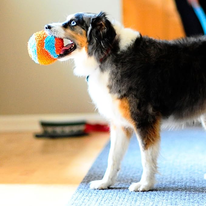 Chuckit! Indoor Fetch Ball Dog Toy, 4.75in, Orange and Blue