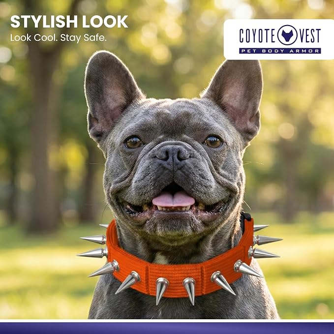 CoyoteCollar Spike Dog Collar, Adj/Replaceable Spikes, Large, Orange