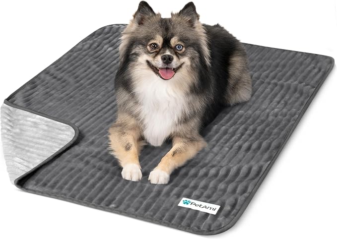 PetAmi Waterproof Dog Blanket, Leakproof Pet Blanket for Small Medium Large Cats, Soft Plush Reversible Sofa Couch Cover Protector, Washable Puppy Throw for Bed Crate, 24x32 in, Grey Light Gray