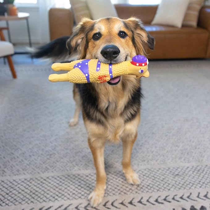 Outward Hound Squawkers Squeaky Latex Dog Toy, Henrietta, 11"