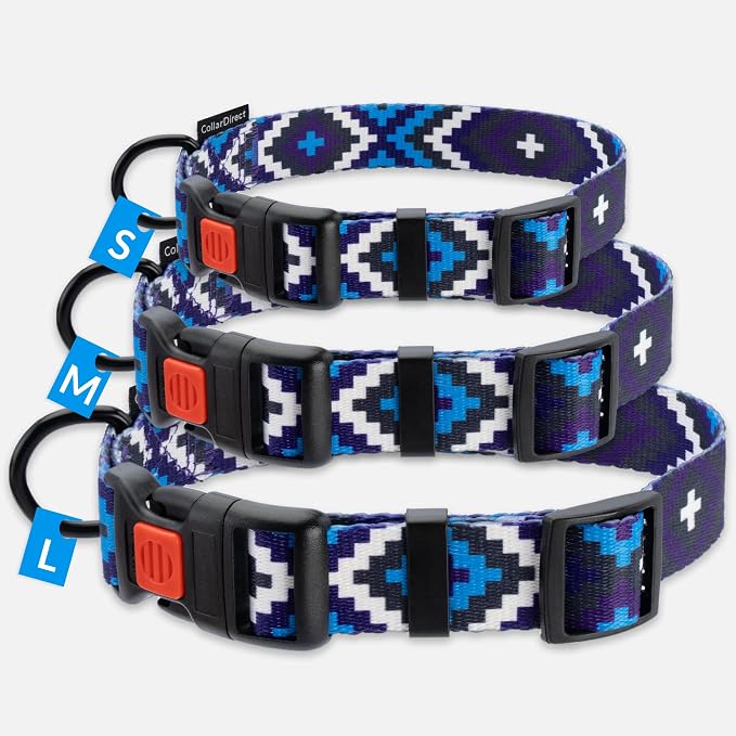 CollarDirect Aztec Dog Collar Adjustable Nylon Tribal Pattern Geometric Pet Collars for Dogs Small Medium Large Puppy (Ethnic Teal, Neck Fit 12"-16"