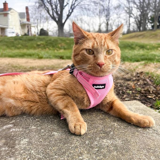 rabbitgoo Cat Harness and Leash, Easy-on with Neck Buckle, Pink