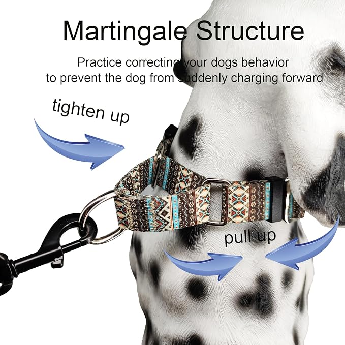 Martingale Dog Collar with Buckle Tribal Design Adjustable Escape Proof Pet Collars (Aztec, Small)