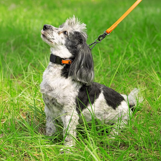 Herm Sprenger Black Stainless Steel Dog Collar with Quick Release ClicLock Buckle O-Ring Biothane Insert Training Collar Made in Germany (Hunter Orange, 16in x 2.25mm(Neck Size up to 13-14in))