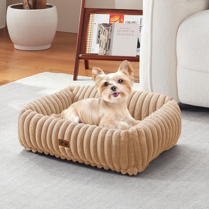 Cute Dog Bed for Small Dogs & Cats,Washable Fluffy Cat Beds for Indoor Cats, Rectangle Orthopedic Memory Foam Puppy Beds with Anti-Slip Bottom, 20 x19 x 7 Inches, Camel