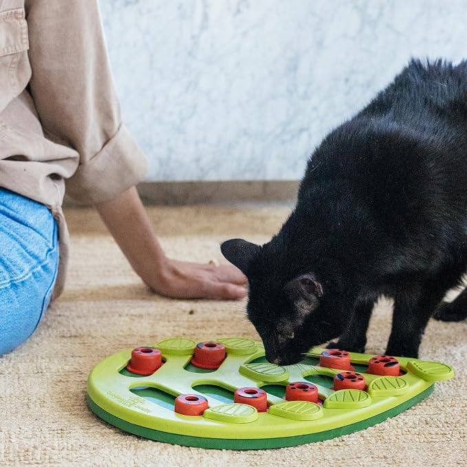 Catstages Nina Ottosson Buggin’ Out Puzzle & Play Cat Toy Treat Puzzle, 14" | Level 2 Intermediate, 16 Hidden Treat Cups, Problem Solving, Interactive Enrichment, Slow Feeder, Indoor Cats & Kittens
