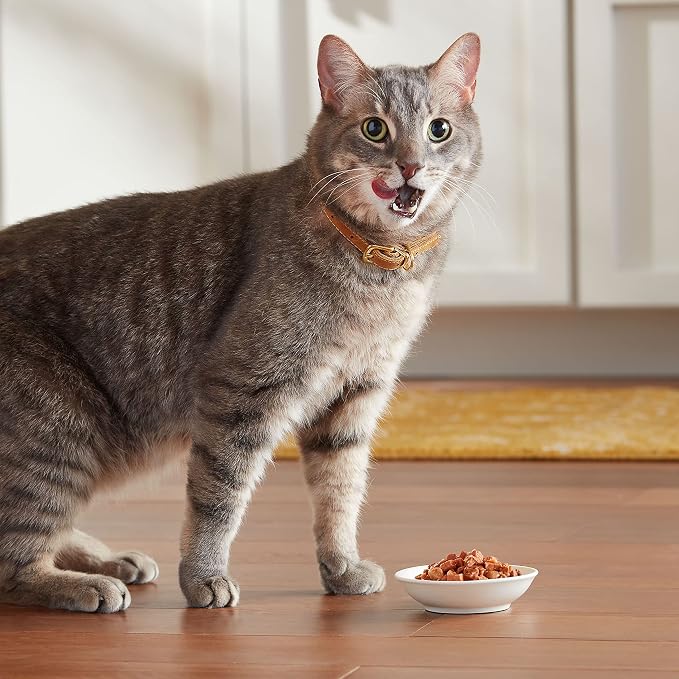 Meow Mix Tenders in Sauce, Wet Food with Real Salmon & Crab, 12 Cups