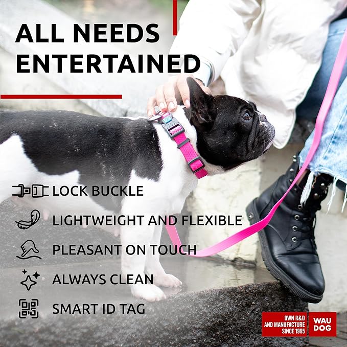 WAUDOG Waterproof Dog Collar - Adjustable Dog Collar for Large Dogs, Small and Medium Dogs - Heavy Duty Dog Collars with Durable Metal Clasp and QR Dog Tag - Boy & Girl Dog Collars