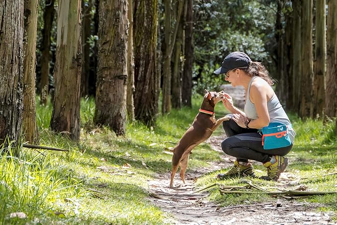 RC Pets Quick Grab Treat Bag, Training Pouch with Belt Clip, Dog Bag Dispenser and Storage for Accessories