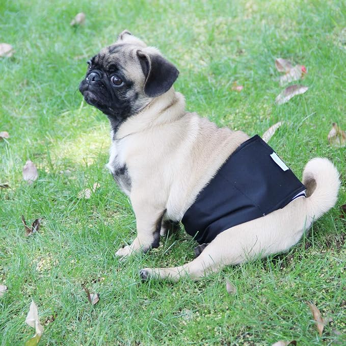 Wegreeco Washable Male Dog Belly Wrap - Pack of 3 - (Gold,Black,Grey,X-Small)