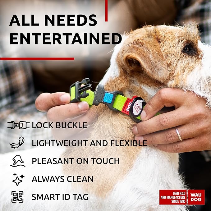 WAUDOG Waterproof Dog Collar Airtag Holder QR Tag Small Medium Large Dogs | Water and Dirt Resistant, Quick Dry QR Pet Tag Adjustable Durable Comfort for Male and Female Dogs Outdoor Walking Training